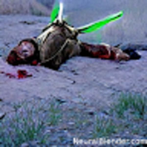 Meet your Posher, Kenwoody